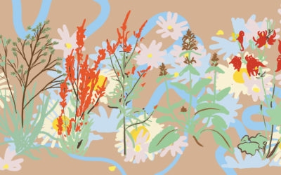 20 avril 2024 – Carmen Bouyer réalise une fresque de plantes sauvages locales d’Ile de France chez Pariciflore