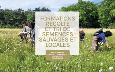 Formations « Récolte et tri de semences sauvages et locales » 2026