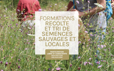 Formations « Récolte et tri de semences sauvages et locales » 2025
