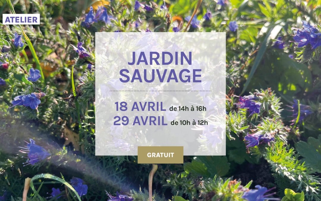 18 et 29 avril 2026 – Atelier “Jardin sauvage »